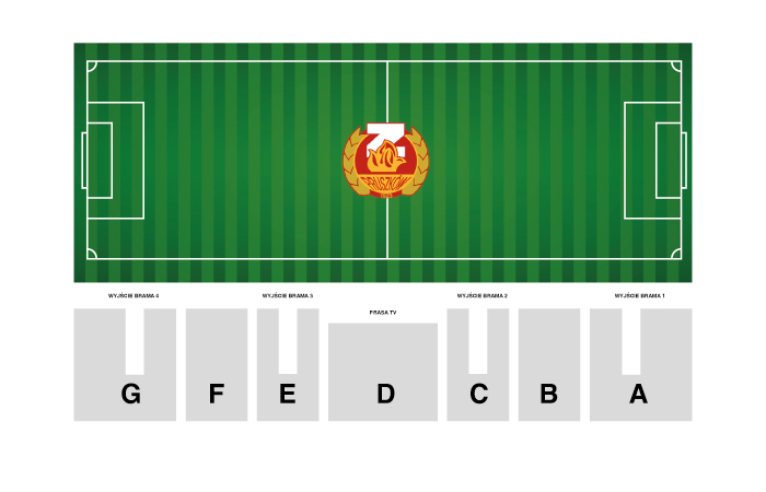 MKS Znicz Pruszków vs Wisła Kraków